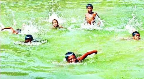 সাঁতার হৃদযন্ত্র ও ফুসফুসের কার্যকারিতা বাড়াতে সাহায্য করে