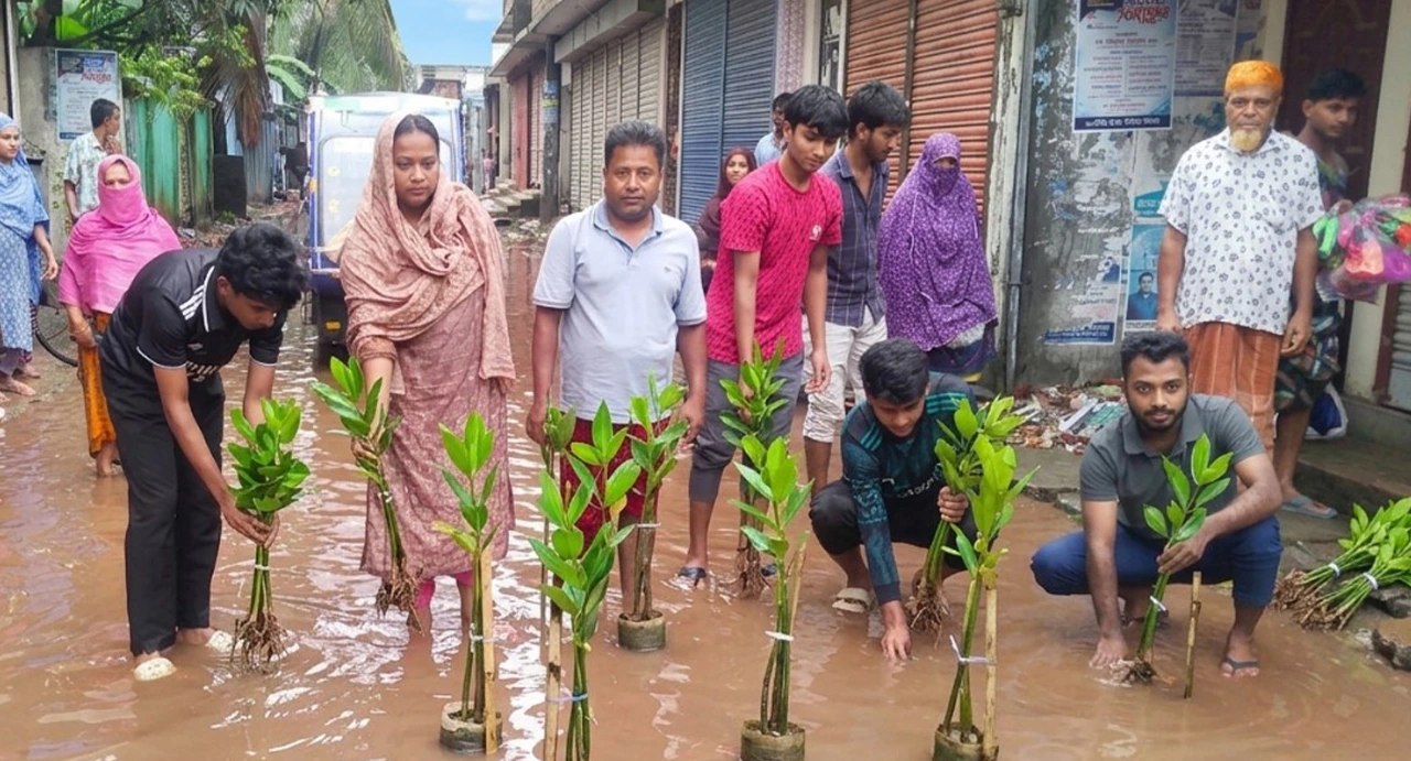 সামান্য বৃষ্টিতেই সড়কে হাঁটুসমান পানি, কচুগাছ লাগিয়ে প্রতিবাদ